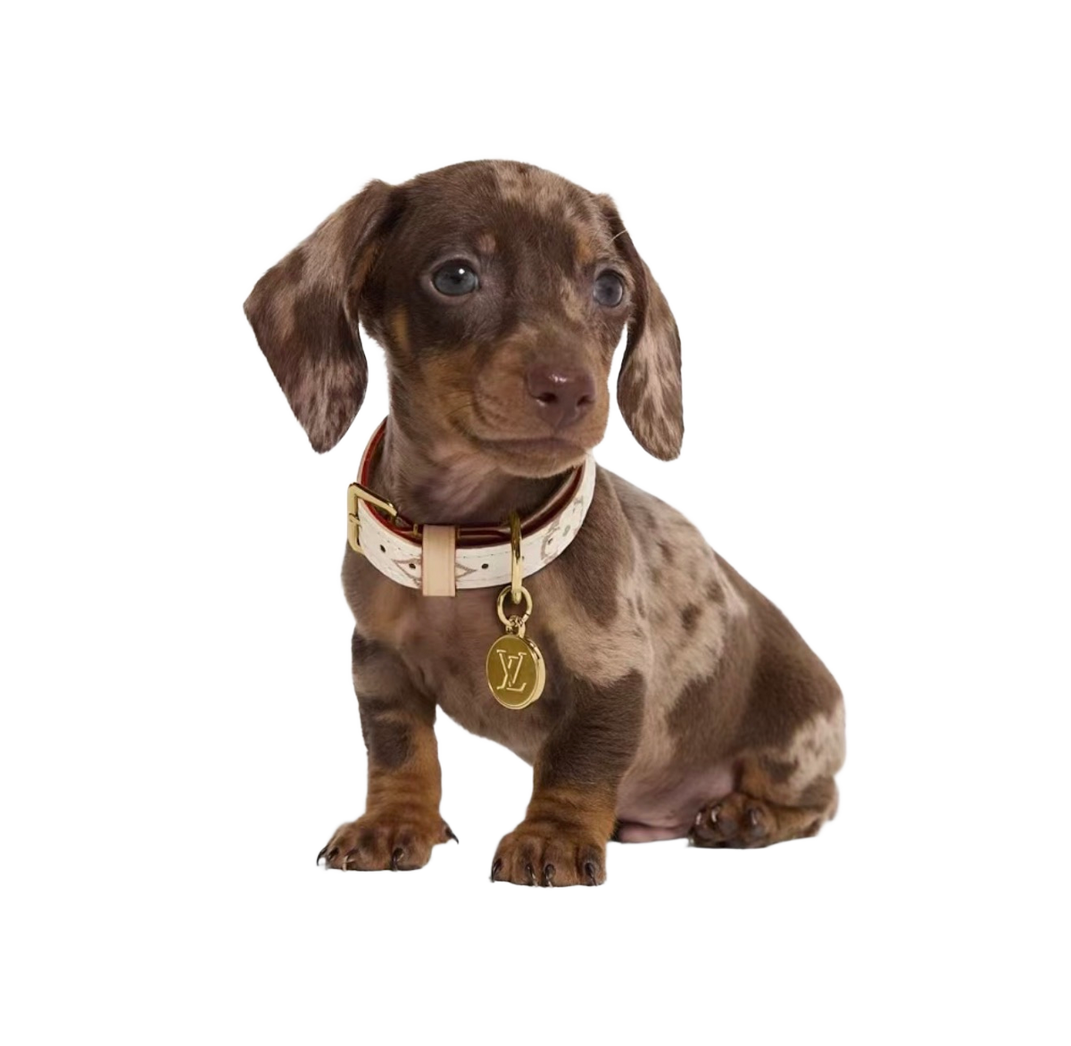 LV Off-White — Collar + Leash Set